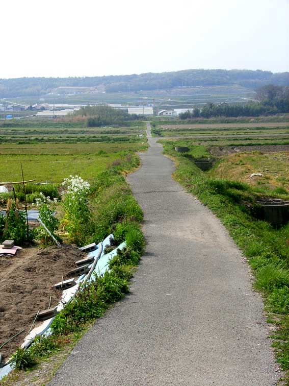 �c��ڂ̎U����